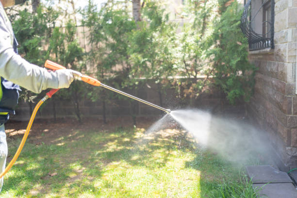 Outdoor Pest Control in Beale Af, CA